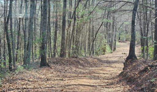 Photo #5 of 1827 Willis Gap, Ararat, VA 104.3 acres