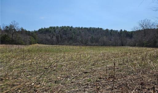 Photo #12 of 1827 Willis Gap, Ararat, VA 104.3 acres