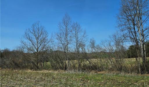 Photo #9 of 1827 Willis Gap, Ararat, VA 104.3 acres