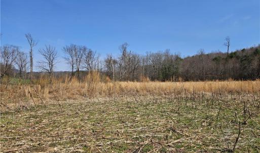 Photo #10 of 1827 Willis Gap, Ararat, VA 104.3 acres
