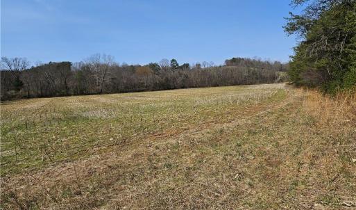 Photo #14 of 1827 Willis Gap, Ararat, VA 104.3 acres
