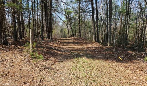 Photo #4 of 1827 Willis Gap, Ararat, VA 104.3 acres