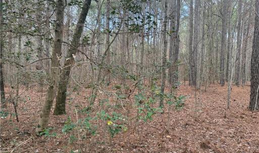 Photo #6 of Lot 14 Woods, Seagrove, NC 5.9 acres