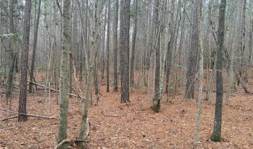 Photo #5 of Lot 14 Woods, Seagrove, NC 5.9 acres