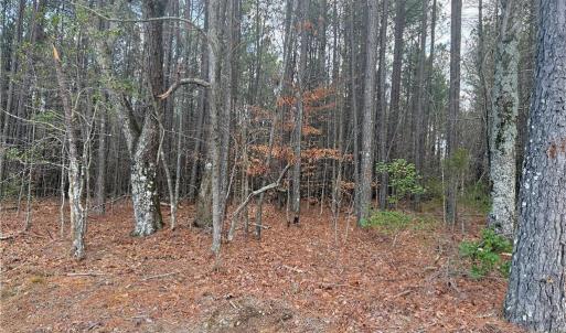 Photo #4 of Lot 14 Woods, Seagrove, NC 5.9 acres