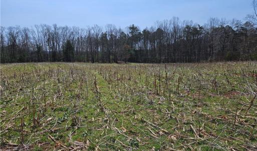 Photo #1 of Willas Gap, Ararat, VA 44.0 acres