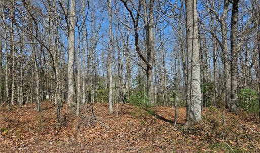 Photo #7 of Willas Gap, Ararat, VA 44.0 acres