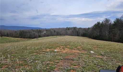 Photo #8 of Willas Gap, Ararat, VA 44.0 acres