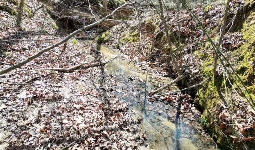 Photo #6 of Tilden Nursery, Lexington, NC 11.9 acres