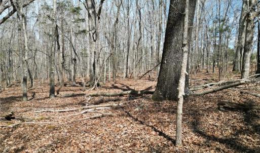 Photo #13 of Tilden Nursery, Lexington, NC 11.9 acres
