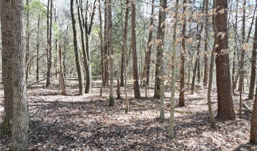 Photo #17 of Tilden Nursery, Lexington, NC 11.9 acres