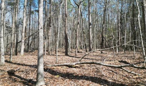 Photo #16 of Tilden Nursery, Lexington, NC 11.9 acres