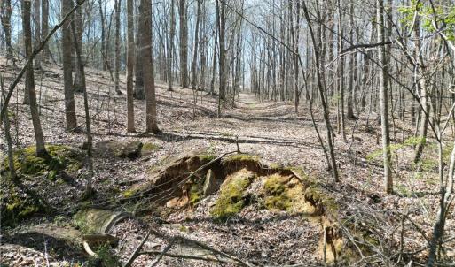 Photo #12 of Tilden Nursery, Lexington, NC 11.9 acres