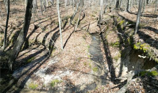 Photo #7 of Tilden Nursery, Lexington, NC 11.9 acres