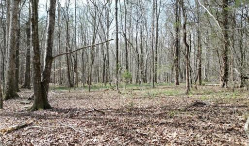 Photo #3 of Tilden Nursery, Lexington, NC 11.9 acres