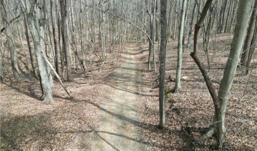 Photo #5 of Tilden Nursery, Lexington, NC 11.9 acres