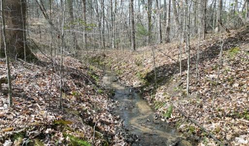 Photo #20 of Tilden Nursery, Lexington, NC 11.9 acres