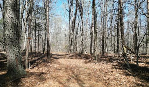 Photo #9 of Tilden Nursery, Lexington, NC 11.9 acres
