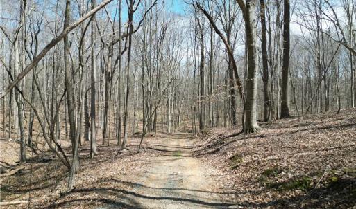 Photo #10 of Tilden Nursery, Lexington, NC 11.9 acres