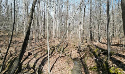Photo #14 of Tilden Nursery, Lexington, NC 11.9 acres