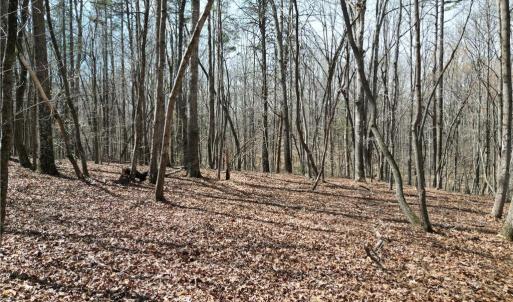 Photo #18 of Tilden Nursery, Lexington, NC 11.9 acres