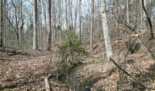 Photo #19 of Tilden Nursery, Lexington, NC 11.9 acres