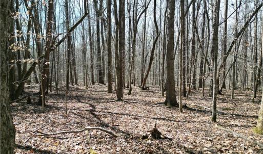 Photo #4 of Tilden Nursery, Lexington, NC 11.9 acres