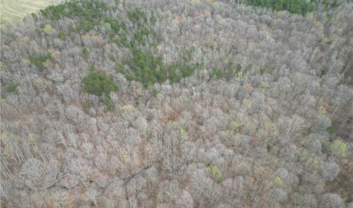 Photo #25 of Tilden Nursery, Lexington, NC 11.9 acres