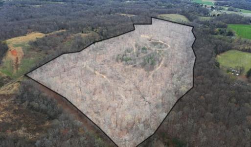 Photo #6 of 8220 Southerland, Browns Summit, NC 59.8 acres