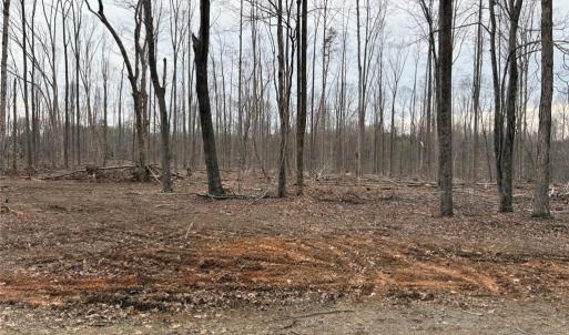 Photo #13 of 8220 Southerland, Browns Summit, NC 59.8 acres