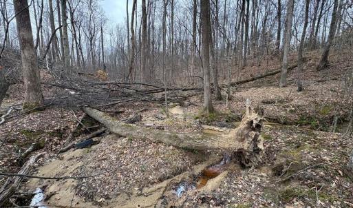 Photo #17 of 8220 Southerland, Browns Summit, NC 59.8 acres