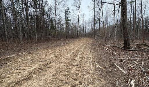 Photo #16 of 8220 Southerland, Browns Summit, NC 59.8 acres