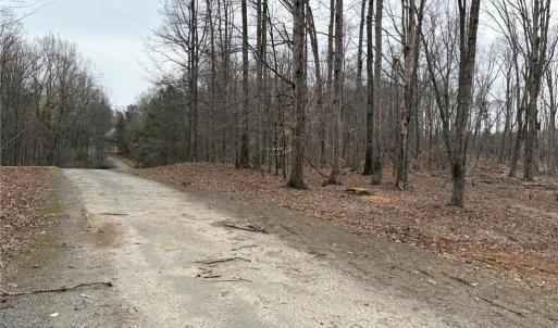 Photo #12 of 8220 Southerland, Browns Summit, NC 59.8 acres