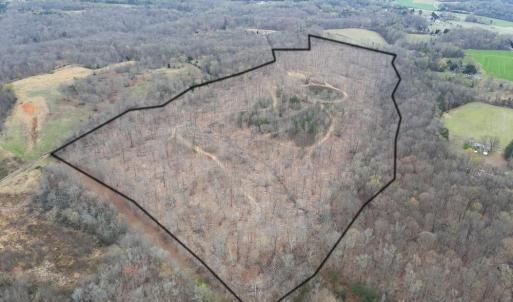 Photo #7 of 8220 Southerland, Browns Summit, NC 59.8 acres