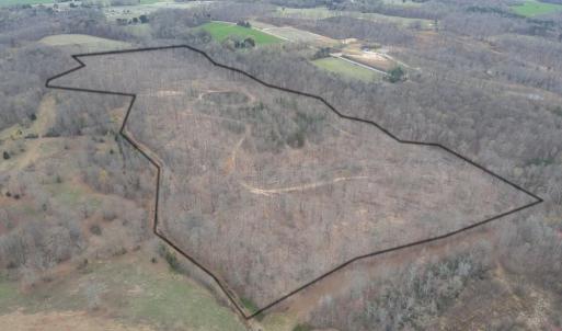 Photo #3 of 8220 Southerland, Browns Summit, NC 59.8 acres