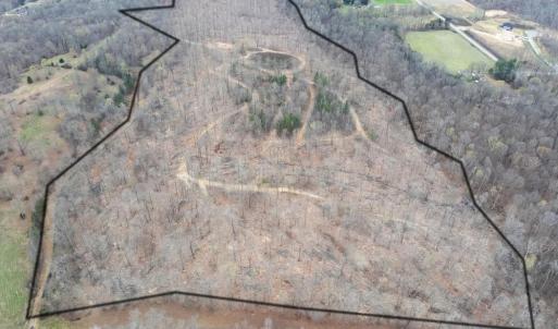 Photo #5 of 8220 Southerland, Browns Summit, NC 59.8 acres