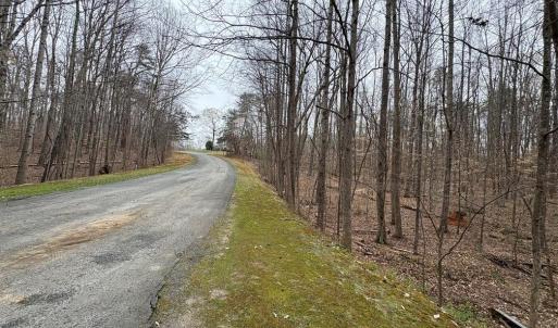 Photo #10 of 8220 Southerland, Browns Summit, NC 59.8 acres