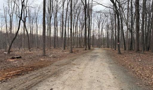 Photo #14 of 8220 Southerland, Browns Summit, NC 59.8 acres