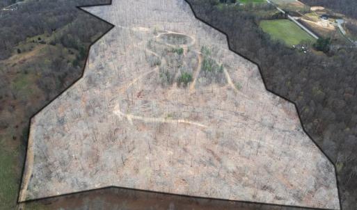 Photo #4 of 8220 Southerland, Browns Summit, NC 59.8 acres