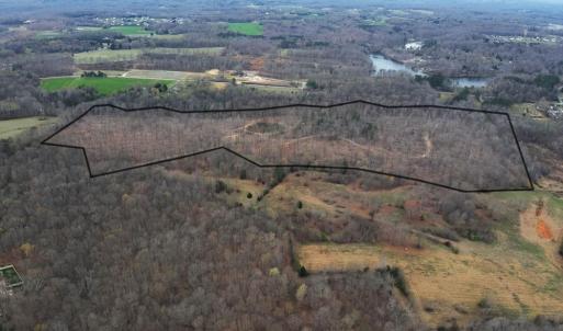 Photo #8 of 8220 Southerland, Browns Summit, NC 59.8 acres