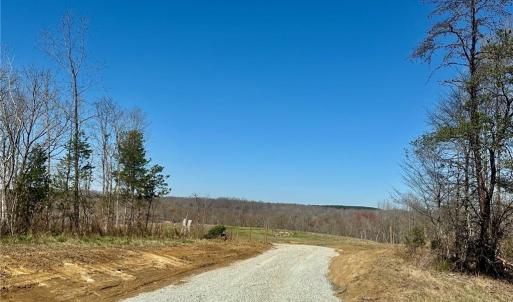 Photo #1 of 8451 Witty, Summerfield, NC 16.8 acres