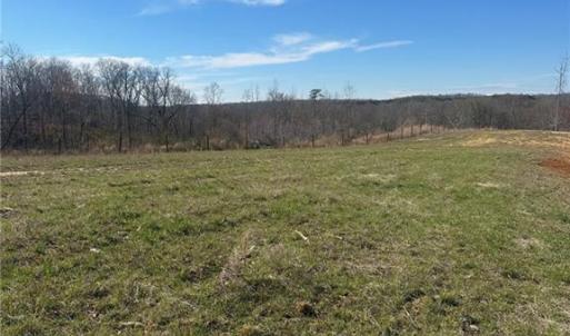 Photo #5 of 8451 Witty, Summerfield, NC 16.8 acres