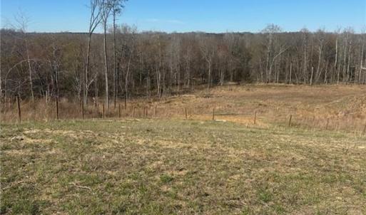Photo #4 of 8451 Witty, Summerfield, NC 16.8 acres