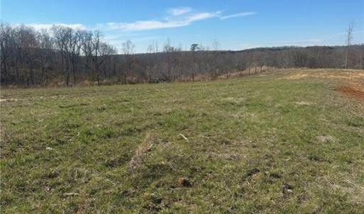 Photo #4 of 8451 Witty, Summerfield, NC 16.8 acres