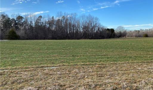 Photo #2 of 5724 Frieden Church, McLeansville, NC 20.9 acres
