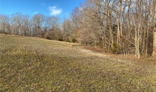 Photo #4 of 5724 Frieden Church, McLeansville, NC 20.9 acres