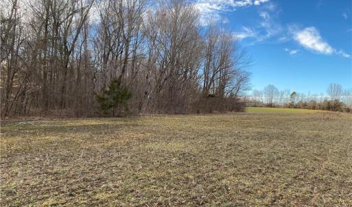 Photo #8 of 5724 Frieden Church, McLeansville, NC 20.9 acres