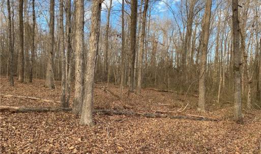 Photo #6 of 5724 Frieden Church, McLeansville, NC 20.9 acres