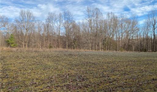 Photo #3 of 5724 Frieden Church, McLeansville, NC 20.9 acres