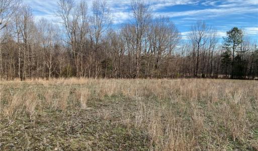 Photo #5 of 5724 Frieden Church, McLeansville, NC 20.9 acres